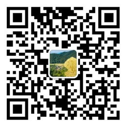 亚洲彩票官网登录app